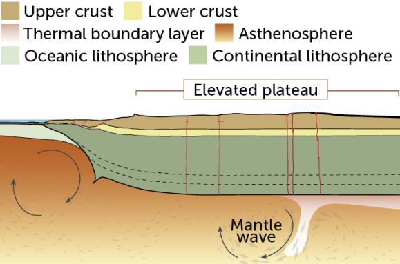 A diagram showing a 2D view of the crust splitting and the bottom of a continent peeling off. The surface above has risen, forming a plateau.